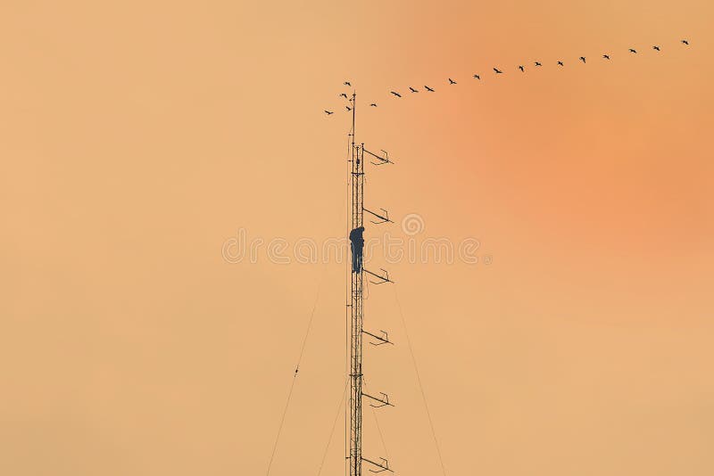 Antenna tower stock photo. Image of phone, jobs, dish 80828222