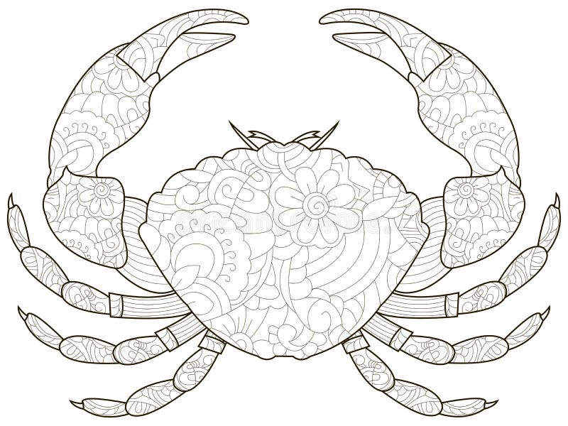 Anti stress coloring book for adults. Crustacean on the bottom of the river. Cancer or shrimp. Crab Black lines