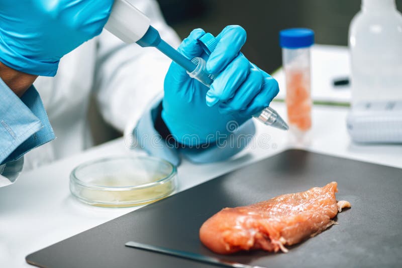 Antibiotics in Poultry Meat Stock Image Image of poultry, food 211655767