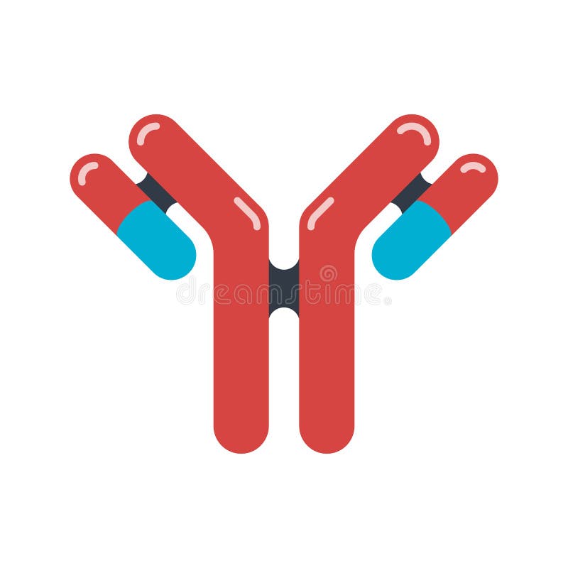 Antibody Icon. Types of Antibodies and Immunoglobulin Structures Stock