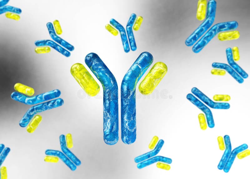 Antibody, Immunoglobulin, Yshaped Protein Produced Mainly by Plasma