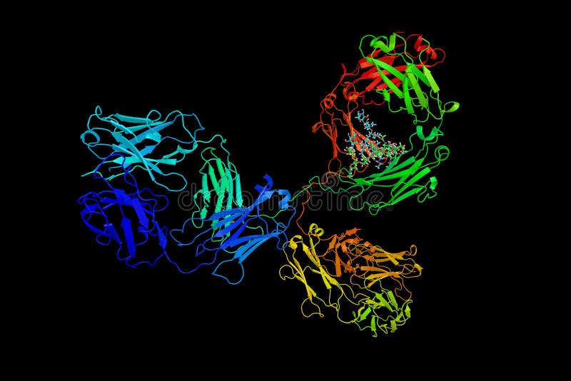 Anticorps monoclonal (mAb ou Moab), fait par la cellule immunitaire identique image stock Anticorps monoclonal (mAb ou Moab), fait par la cellule immunitaire identique image stock