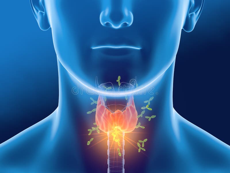 anticuerpos tiroides