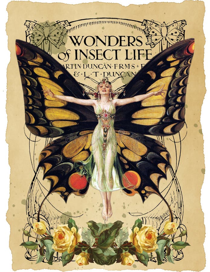 Antieke Botanische Collage - Art Nouveau Butterfly Illustration - Waterverf - Uitstekende Bladmuziek - Verontruste Document Achte stock illustratie Antieke Botanische Collage - Art Nouveau Butterfly Illustration - Waterverf - Uitstekende Bladmuziek - Verontruste Document Achte stock illustratie