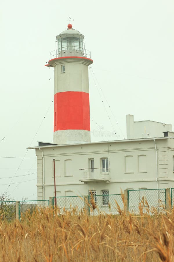 Antiguo faro en la costa del mar Foggy clima, cielo claro, las cañas Papel tapiz de viaje, protector de pantalla en el escritorio imágenes de archivo libres de regalías Antiguo faro en la costa del mar Foggy clima, cielo claro, las cañas Papel tapiz de viaje, protector de pantalla en el escritorio imágenes de archivo libres de regalías