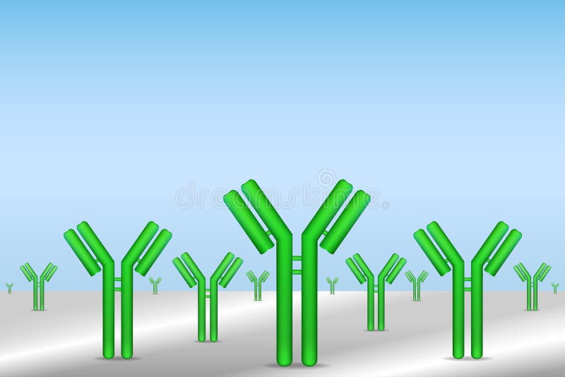 Antibodies immobilized on surface ready for analyte detection. Antibodies immobilized on surface ready for analyte detection.