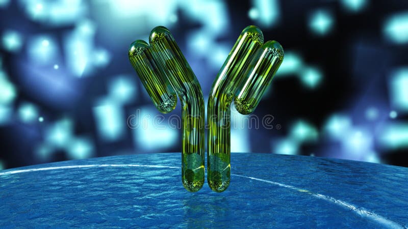 Antilichaam, immunoglobulins, het 3d teruggeven royalty-vrije illustratie Antilichaam, immunoglobulins, het 3d teruggeven royalty-vrije illustratie