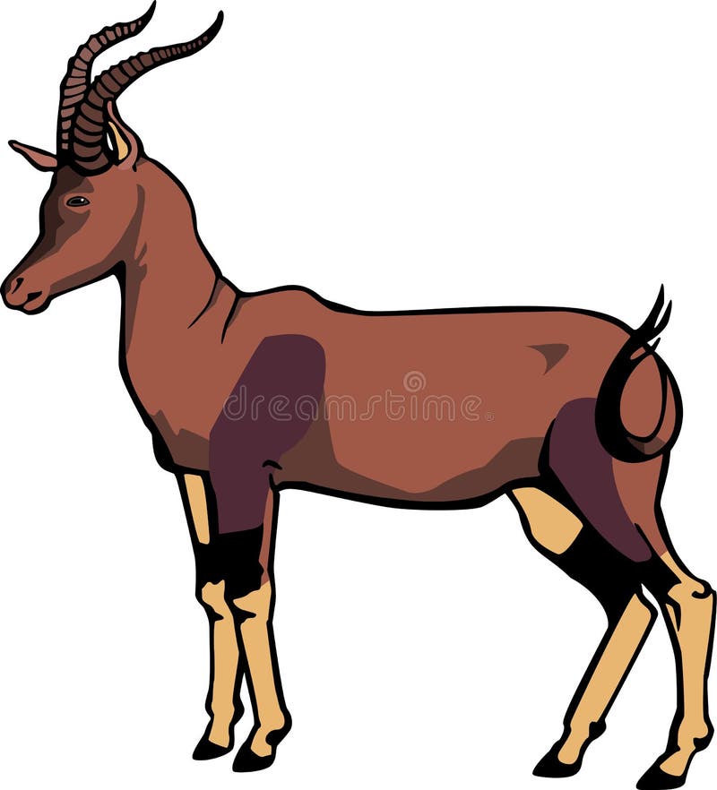 Antilope illustration de vecteur. Illustration du herbivore - 63527288