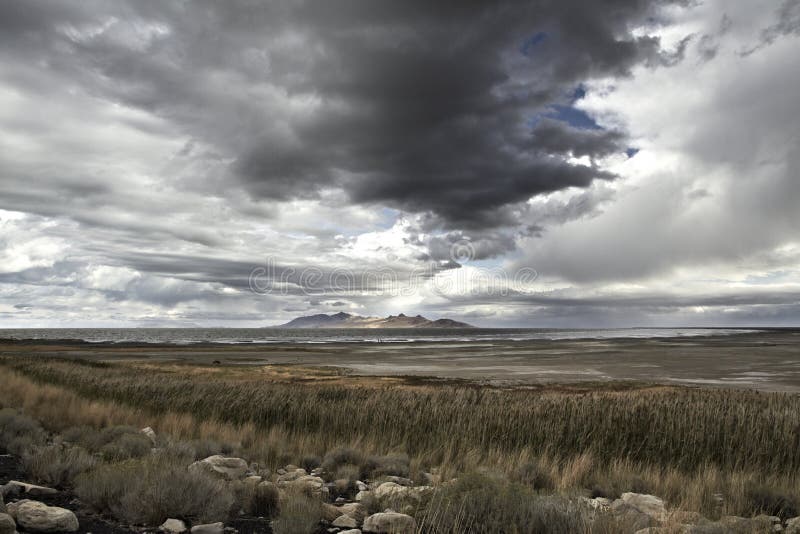 Antilopen-Insel, Nationalpark, Great Salt Lake im Winter USA, Utah stockbilder Antilopen-Insel, Nationalpark, Great Salt Lake im Winter USA, Utah stockbilder
