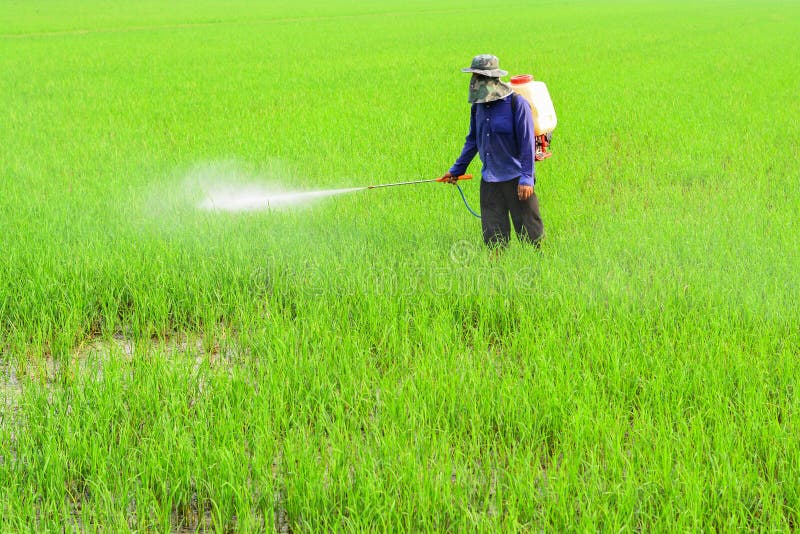 Antiparassitario di spruzzatura dell'agricoltore immagini stock libere da diritti Antiparassitario di spruzzatura dell'agricoltore immagini stock libere da diritti