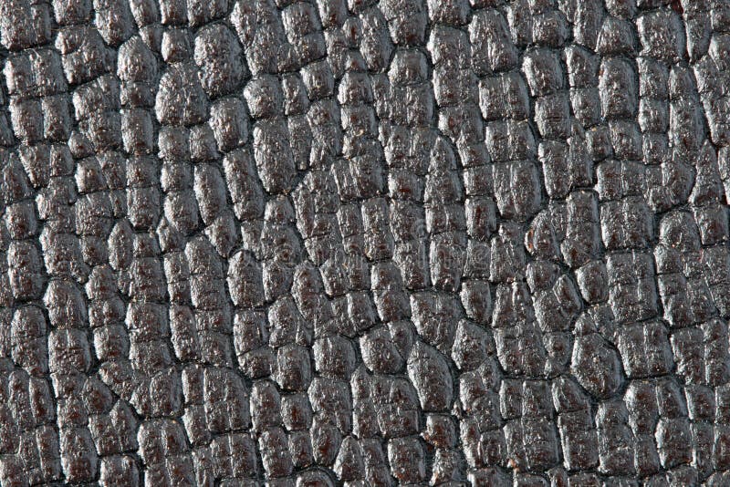 Crackle Finish Photos Free Royalty Free Stock Photos From Dreamstime