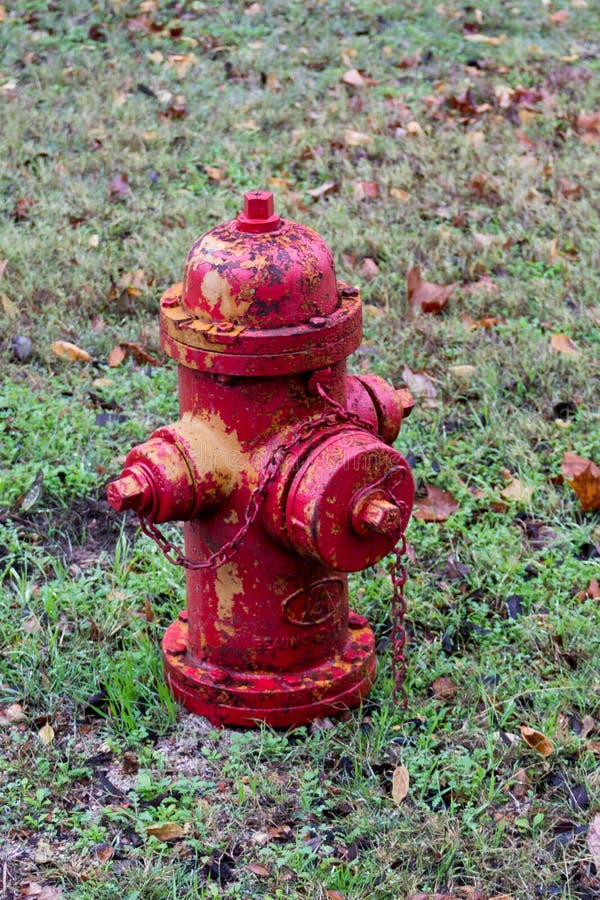 Antique Fire Hydrant stock photo. Image of alarm, grass 45027942