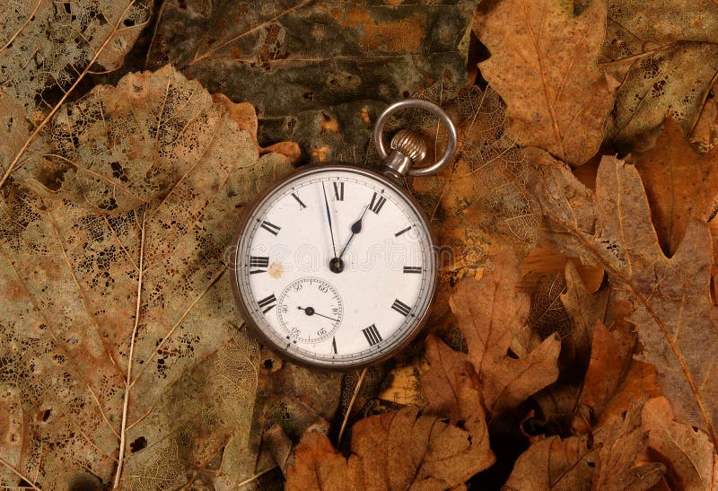 Antique pocket watch on dead leaves