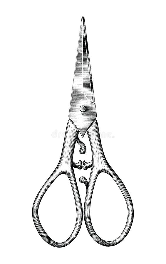 Scissor Art  Scissors art, Object drawing, Everyday objects