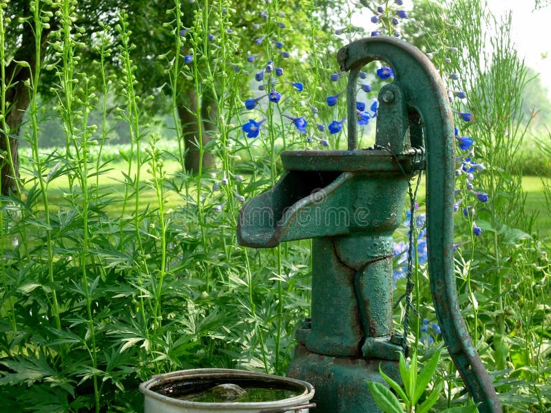 Blue hollyhocks bloom in garden next to green hand pump. This iron antique style hand water pump was found in a garden in Hawarden, Iowa. Blue hollyhocks bloom in garden next to green hand pump. This iron antique style hand water pump was found in a garden in Hawarden, Iowa.