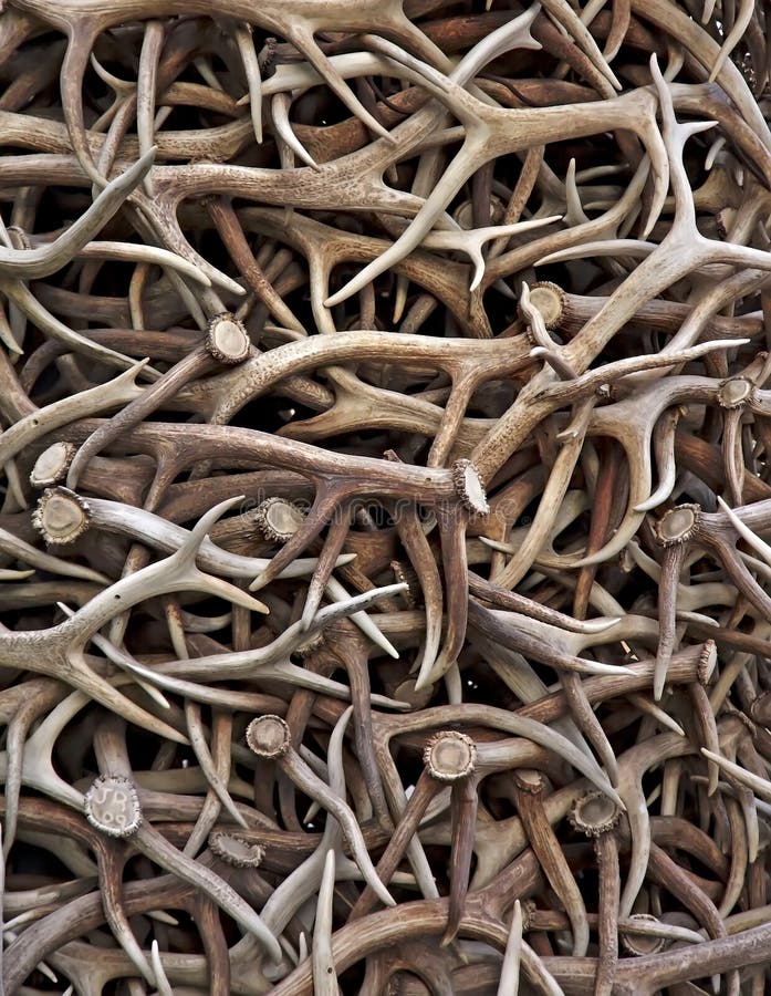 Antler Pile