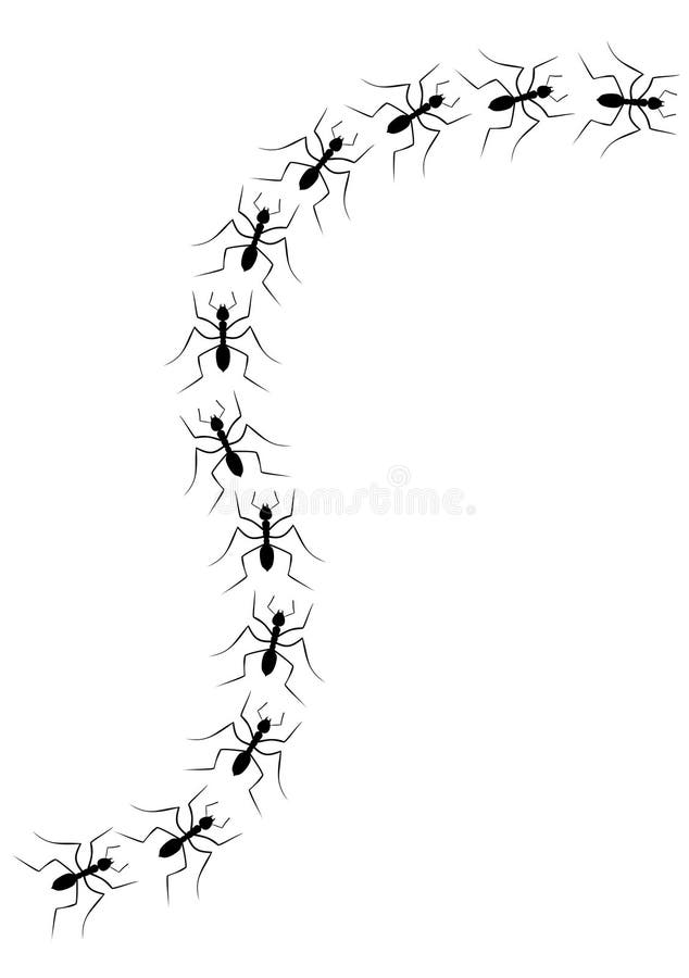 Download Ants stock vector. Illustration of group, colony, wave - 19769039