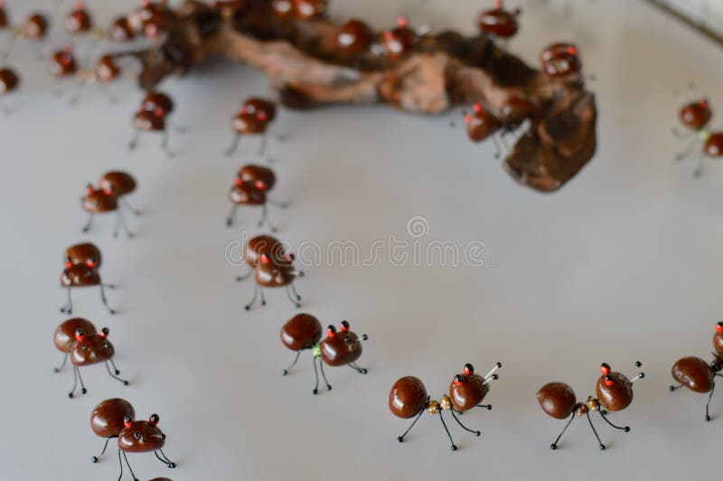 Ants art chestnut white floor and background