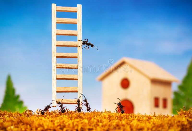 Ants build a house with ladder royalty free stock photos Ants build a house with ladder royalty free stock photos