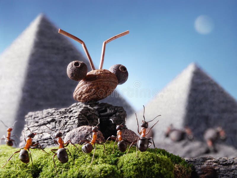 Mravenci civilizace, sfinga a pyramidy, Mravenec Příběhy.