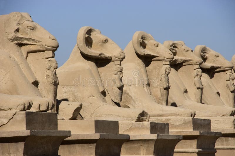 Antyczna alei Egypt sfinksów podróż