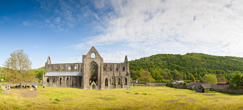Antyczne ruiny, Tintern opactwo, Walia, UK zdjęcie royalty free Antyczne ruiny, Tintern opactwo, Walia, UK zdjęcie royalty free