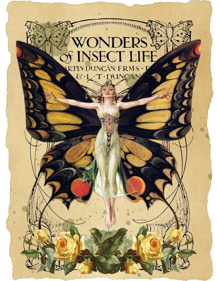 Antykwarski Botaniczny kolaż akwarela Zakłopotany Papierowy tło - sztuki Nouveau Motylia ilustracja - rocznik Szkotowa muzyka -