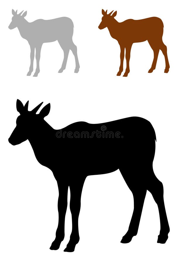Antylopy sylwetka - przyroda ssak w Afryka i Eurasia ilustracji Antylopy sylwetka - przyroda ssak w Afryka i Eurasia ilustracji