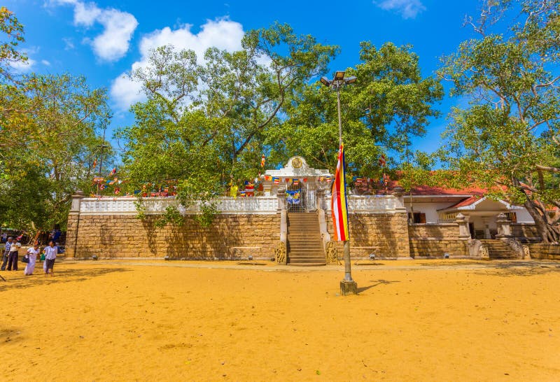 Anuradhapura Jaya Sri Maha Bodhi Tree Field H