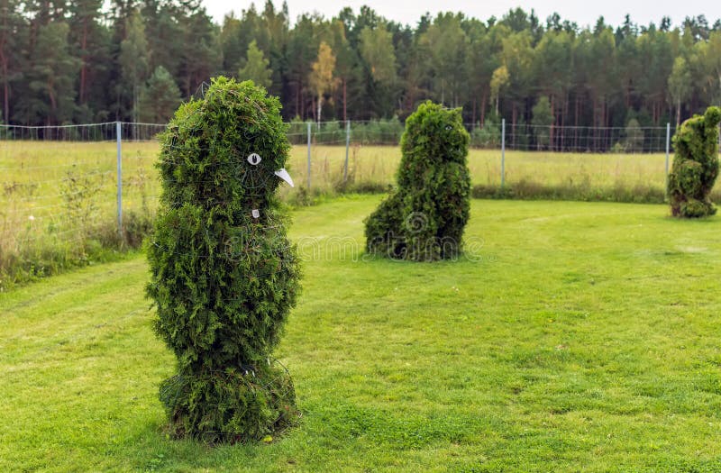 Owl and Lion shaped bushes in a topiary garden royalty free stock photo Owl and Lion shaped bushes in a topiary garden royalty free stock photo