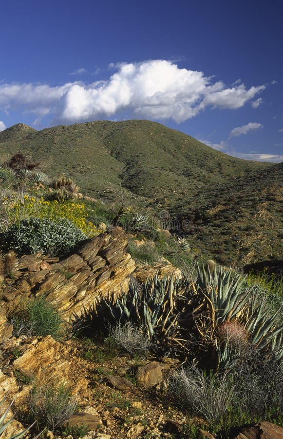 Anza-Borrego Desert near San Diego stock photo Anza-Borrego Desert near San Diego stock photo