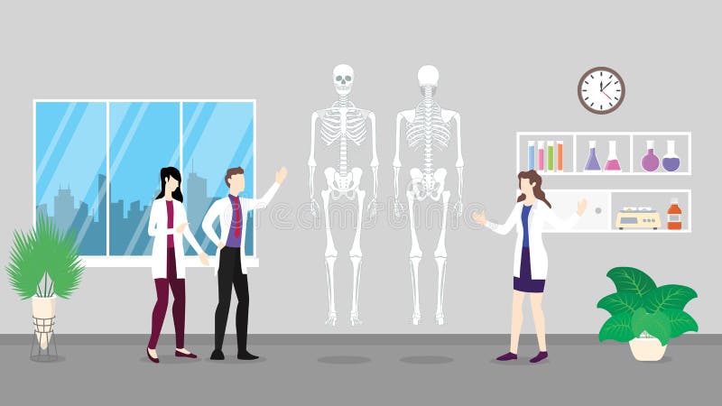 Análisis esquelético humano del chequeo de la atención sanitaria de la estructura de la anatomía que identifica por la gente stock de ilustración Análisis esquelético humano del chequeo de la atención sanitaria de la estructura de la anatomía que identifica por la gente stock de ilustración