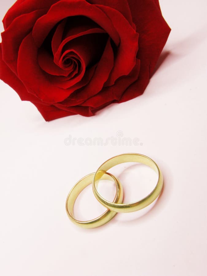 Anéis da rosa e de casamento do vermelho imagem de stock royalty free Anéis da rosa e de casamento do vermelho imagem de stock royalty free