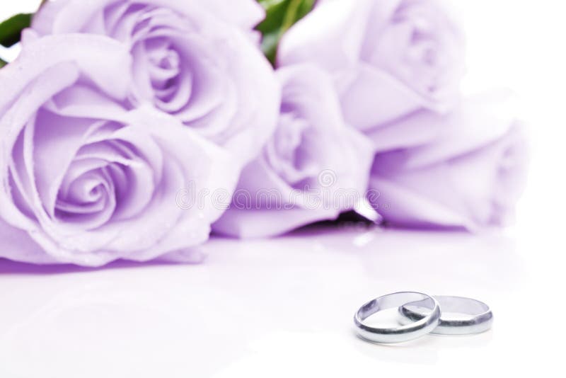 Anéis e rosas de casamento fotografia de stock Anéis e rosas de casamento fotografia de stock