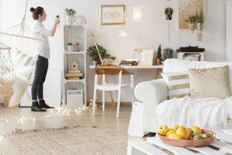 Apartamento no estilo do scandi imagem de stock Apartamento no estilo do scandi imagem de stock