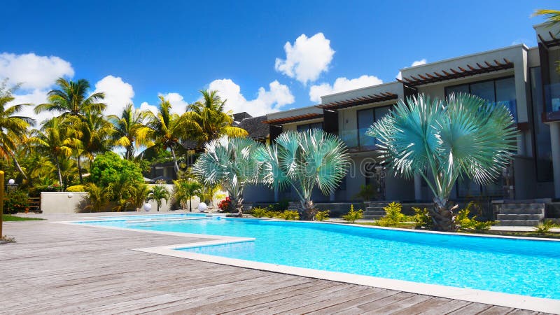 Apartamentos do feriado, palmas tropicais da piscina do jardim fotografia de stock royalty free Apartamentos do feriado, palmas tropicais da piscina do jardim fotografia de stock royalty free