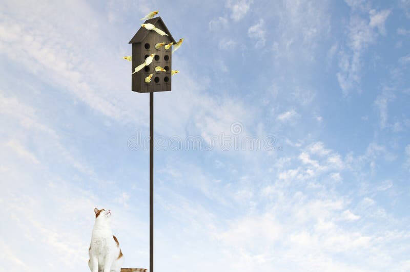 Apartments for Friendly Living . Mixed Media Stock Photo Image of