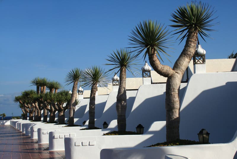 Apartments and palm trees