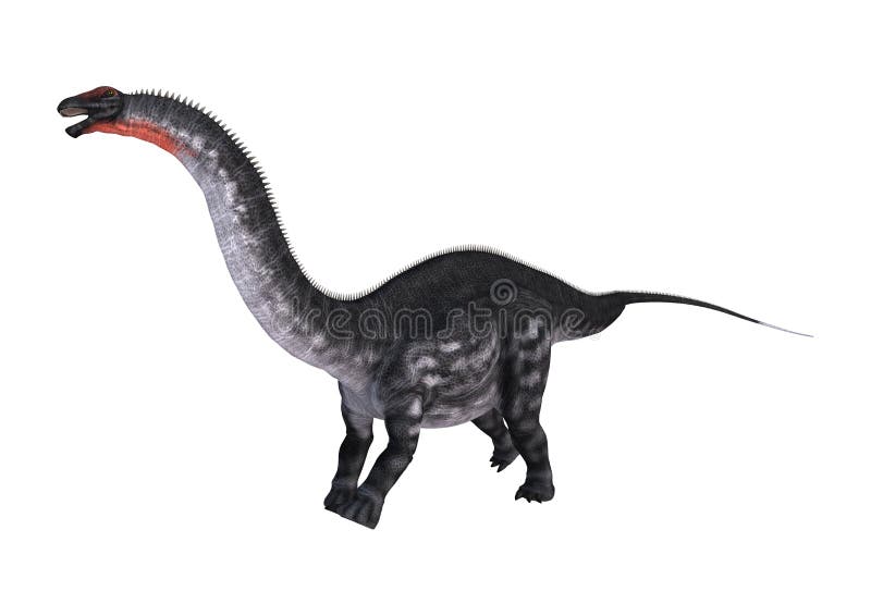 Apatosaurus do dinossauro da rendição 3D no branco ilustração stock Apatosaurus do dinossauro da rendição 3D no branco ilustração stock