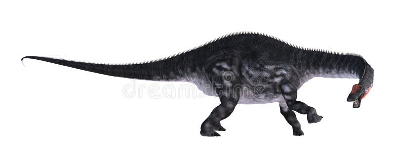 Apatosaurus динозавра перевода 3D на белизне иллюстрация вектора Apatosaurus динозавра перевода 3D на белизне иллюстрация вектора