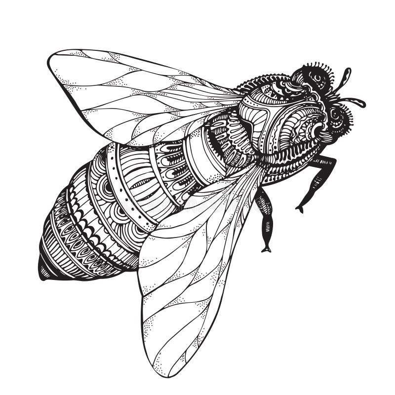 Ape disegnata a mano del miele nello stile dello zentangle