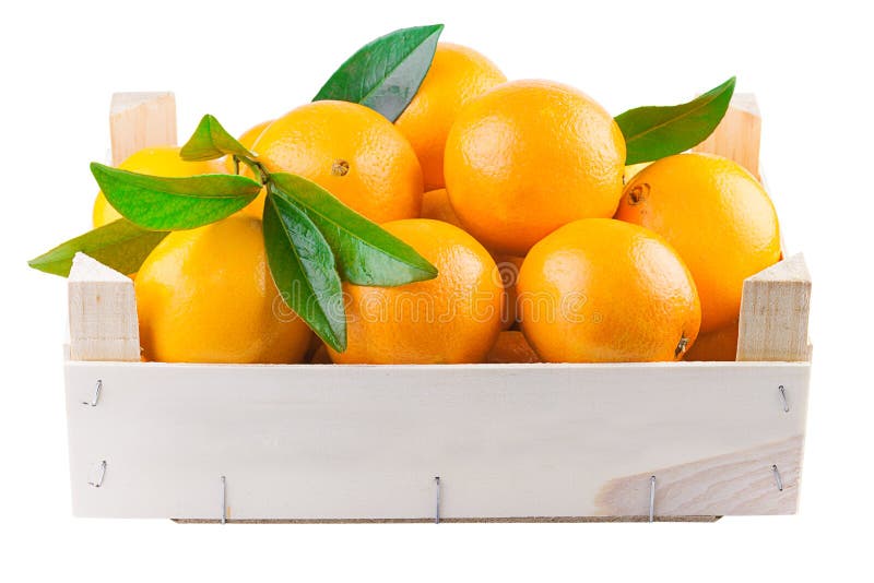 Apelsinen bär frukt i en träask royaltyfri bild