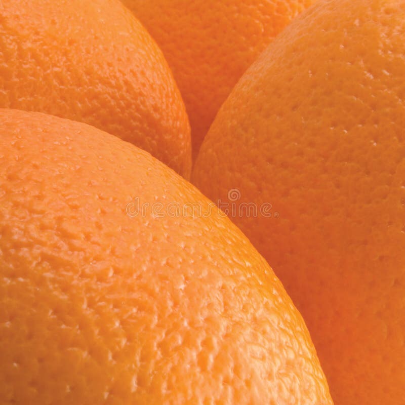 Apelsiner orange frukter skalar skottet för studion för texturmakroen closeupen specificerade av texturerad modellbakgrund royaltyfri foto