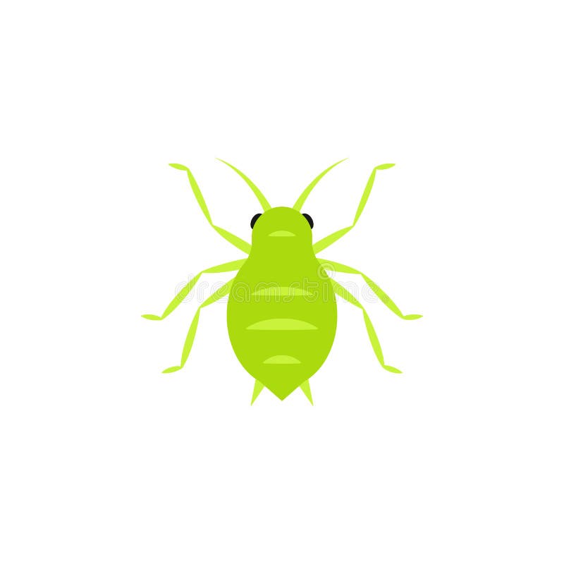 aphid-insect-icon-clipart-image-isolated-white-background-162058491.jpg