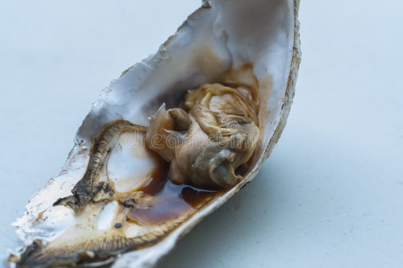 Aphrodisiac Oyster stock image. Image of cuisine, romance 11366199