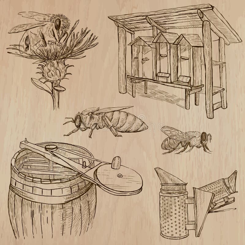 Raccolta Del Miele: Guida Professionale Con Tempistiche E - Foto 7