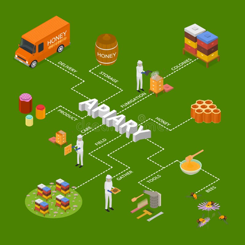 Beekeeping Isometric Flowchart Composition 4902464 Vector Art at Vecteezy