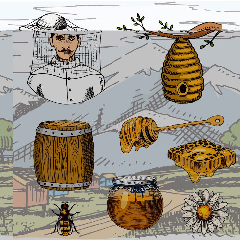 Apiary farm vector hand drawn vintage honey making farmer beekeeper illustration nature product by bee vector illustration Apiary farm vector hand drawn vintage honey making farmer beekeeper illustration nature product by bee vector illustration
