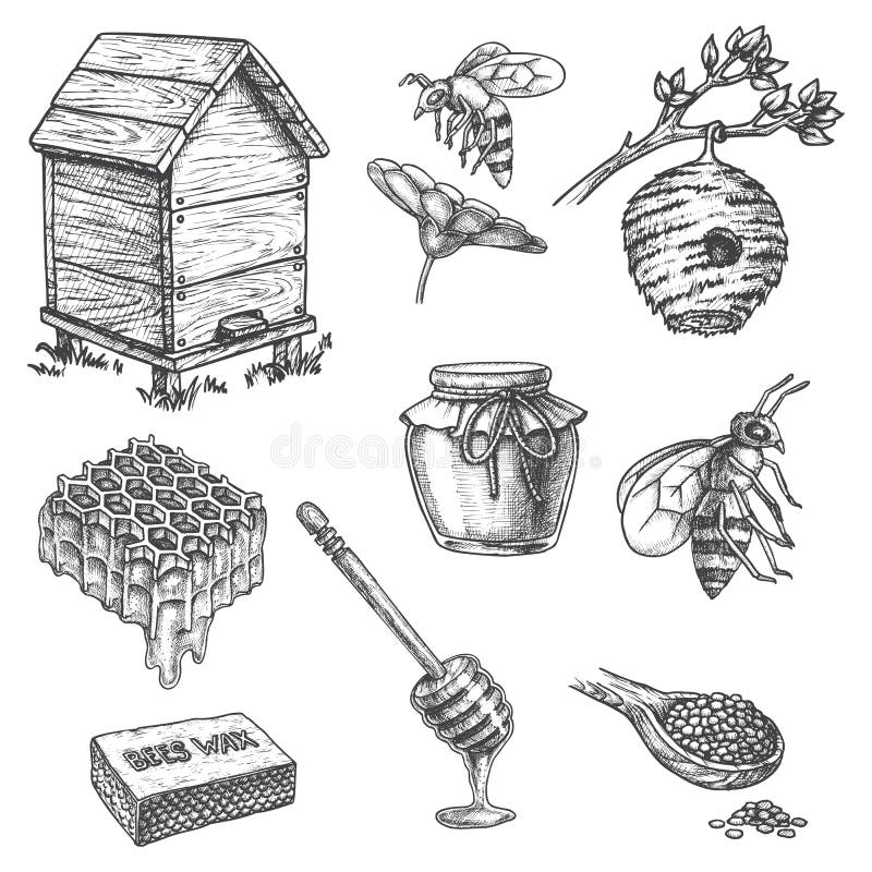 beehive sketch hand drawn vector  Stock Illustration 92341388  PIXTA