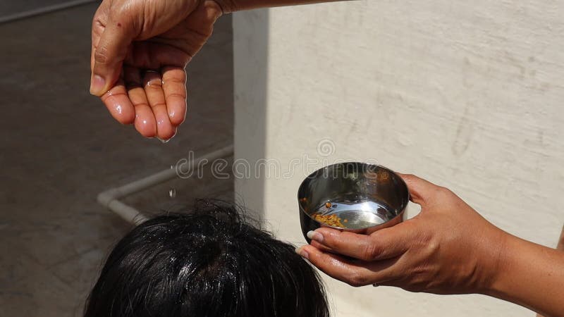 Aplicar aceite de coco mezclado con semillas de grano y hojas de curry a la cabeza para nutrir el concepto de cuidado de la salud